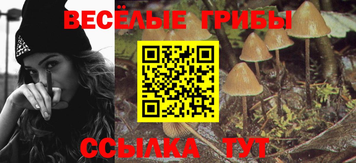 Родники  Псилоцибиновые грибы GOLDEN TEACHER  Вход с VPN  Псилоцибиновые грибы Psilocybine cubensis 
